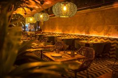 _MG_0593-1 copia (1)